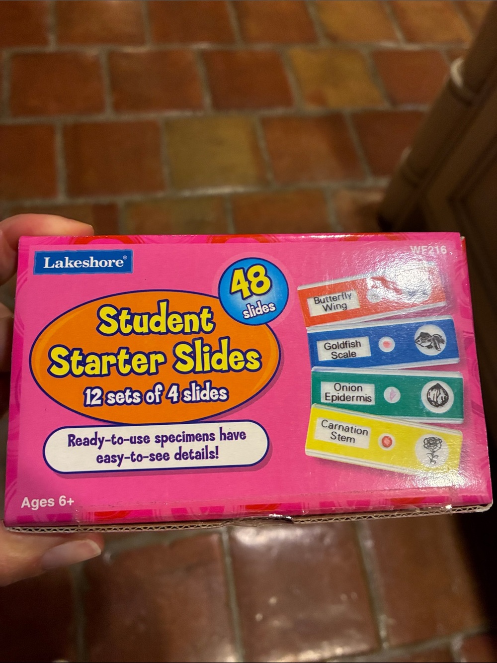 Pink Student Starter Slides - 48 Prepared Microscope Slides